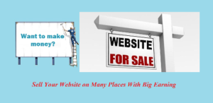 Sell Your Website on Many Places With Big Earning