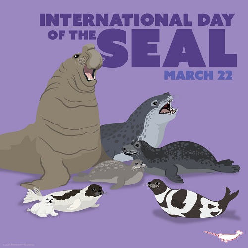 International Day of the Seal