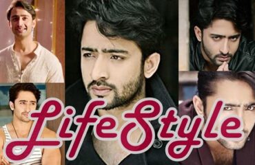 Shaheer Sheikh Lifestyle - Age, Serial, Net worth & Biography